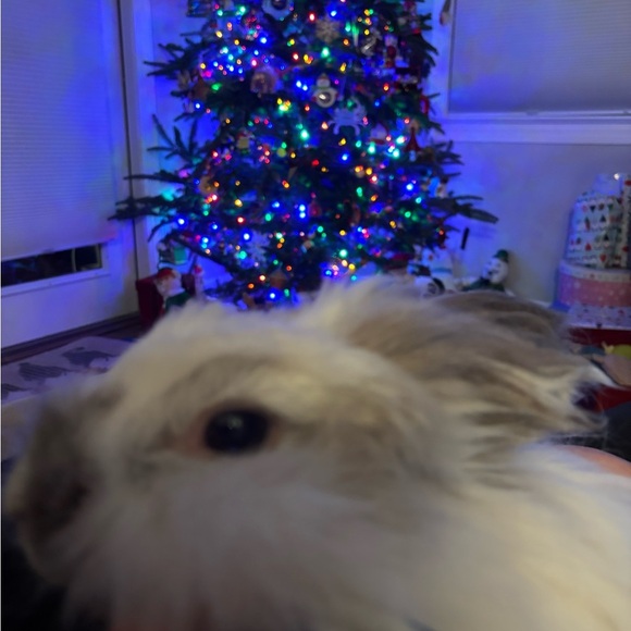 Welcome! Please like this post to be notified when LIVE! - Picture 10 of 16